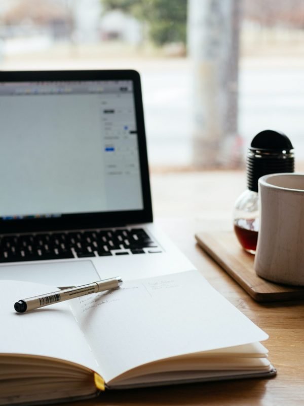 professional logo design